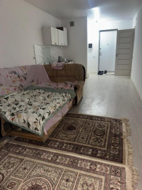 1 bedroom apartment Alem City 3